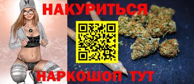 стаф Будённовск