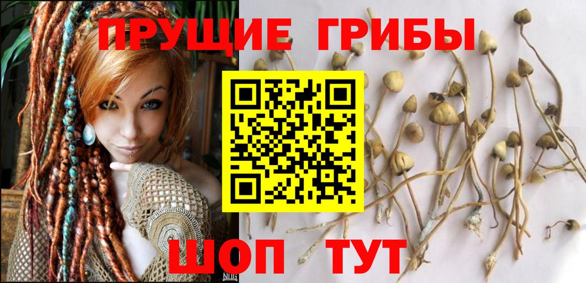 Светлоград  Галлюциногенные грибы мухоморы  Вход с VPN 