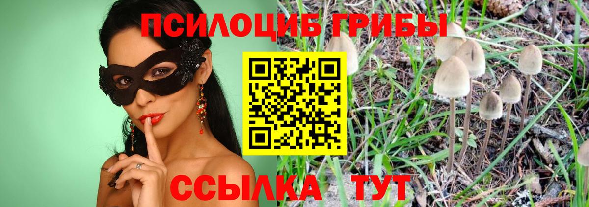 Галлюциногенные грибы Psilocybine cubensis Светлоград